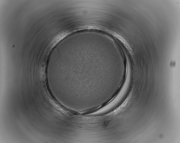 X0000099560977200805161448