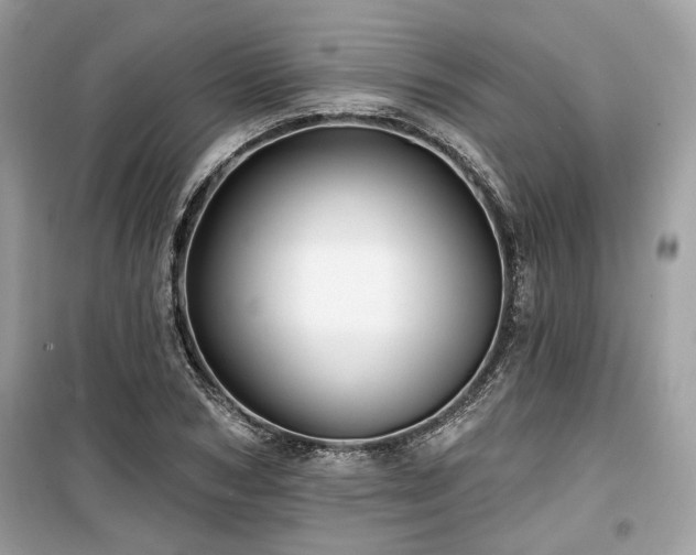 X0000099560978200805161448