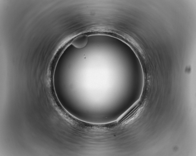 X0000099560981200805161448