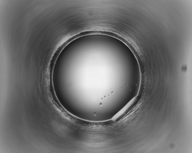 X0000099560982200805161448