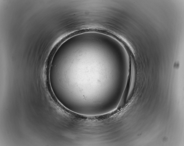 X0000099560983200805161448