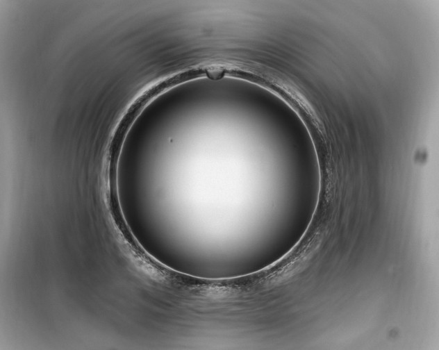 X0000099560984200805161448