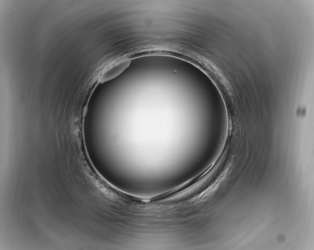 X0000099560985200805161448