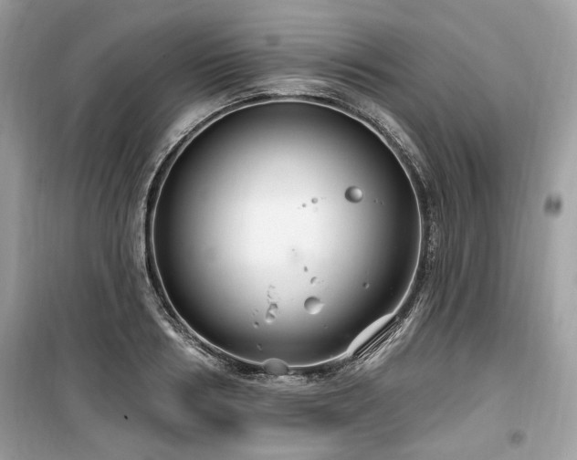 X0000099560986200805161448