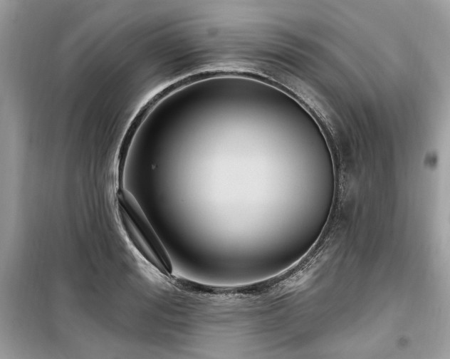 X0000099560988200805161448