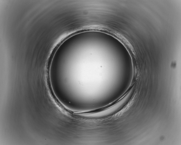 X0000099560989200805161448