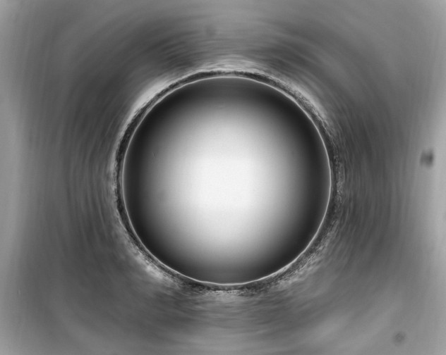 X0000099560990200805161448