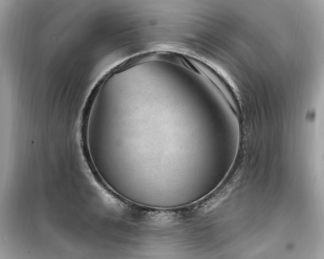 X0000099560991200805161448