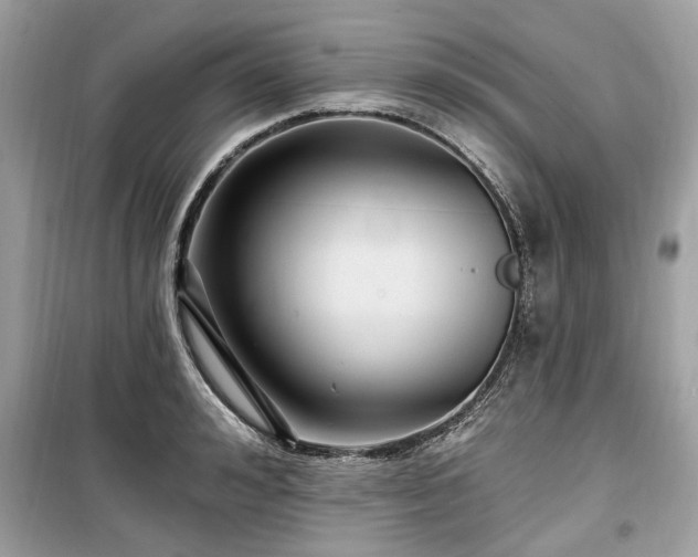 X0000099560992200805161448