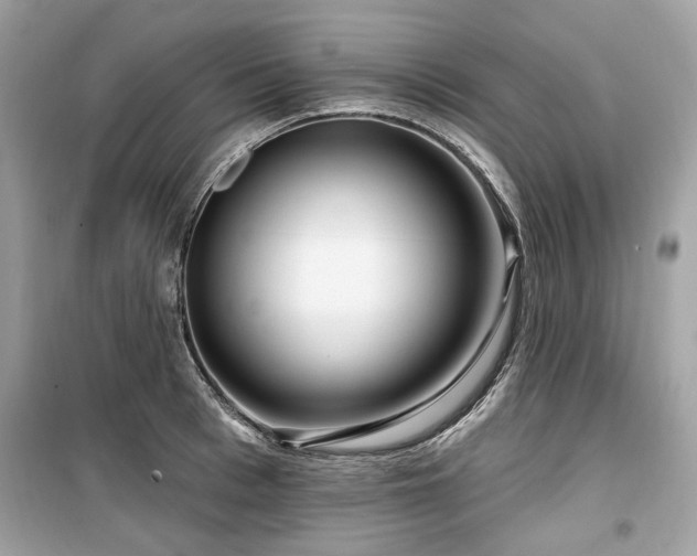 X0000099560993200805161448