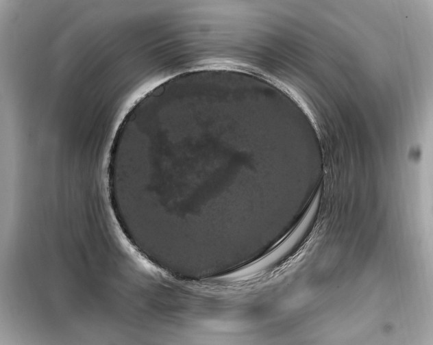 X0000099560995200805161448