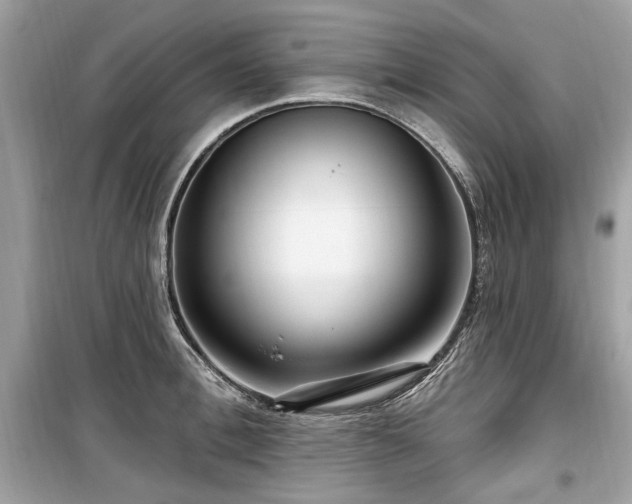 X0000099560996200805161448