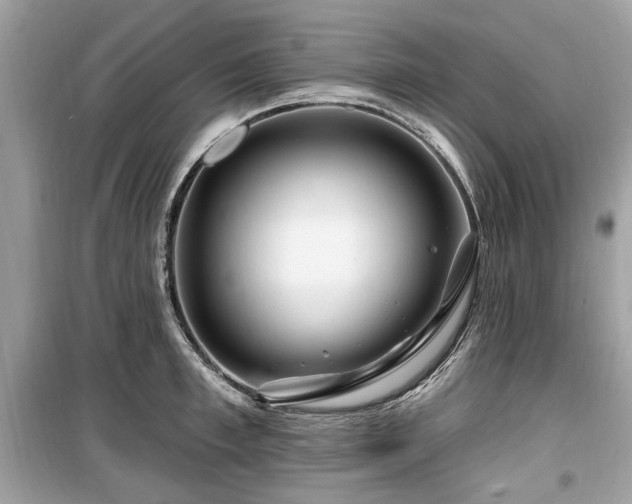 X0000099560997200805161448