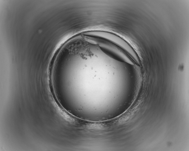 X0000099560998200805161448