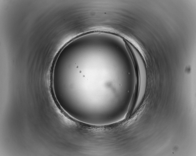 X0000099560999200805161448