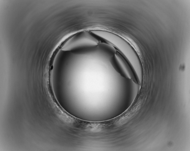 X0000099561000200805161448