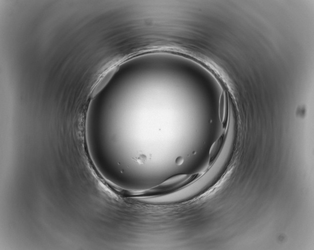 X0000099561001200805161447