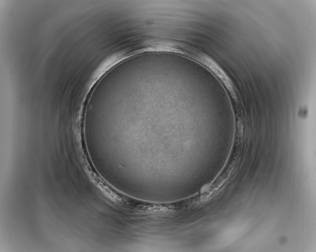 X0000099561002200805161447