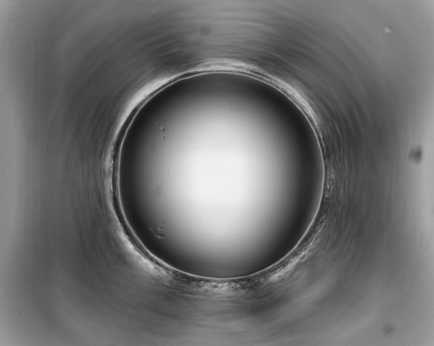 X0000099561003200805161447