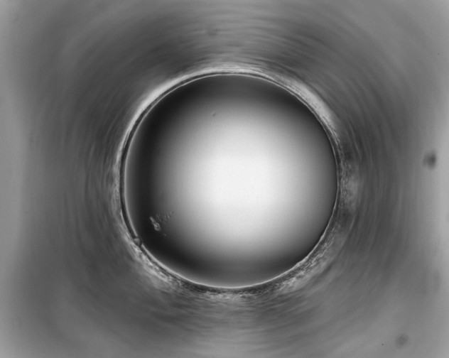 X0000099561004200805161447