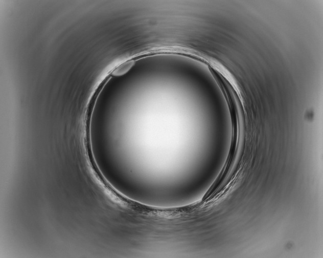 X0000099561005200805161447