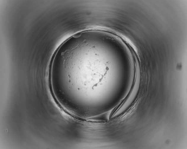 X0000099561007200805161447