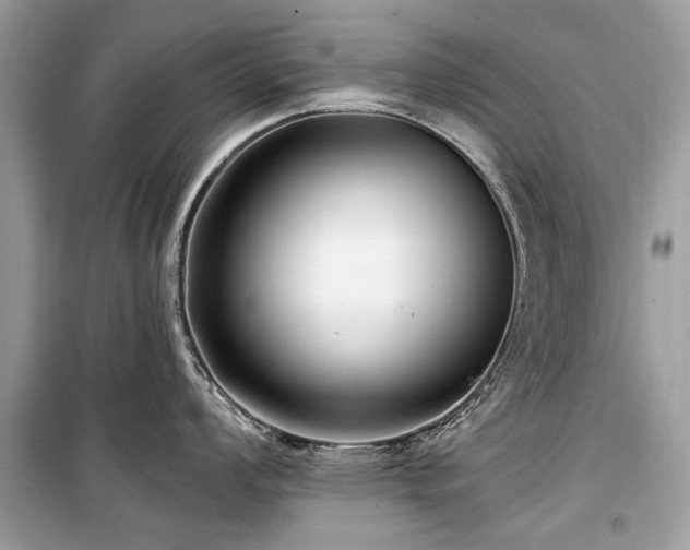 X0000099561008200805161447