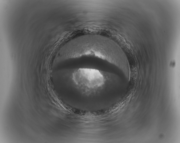 X0000099561009200805161447