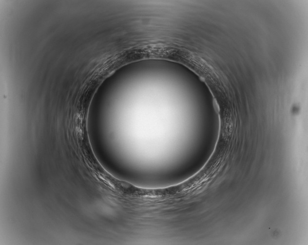 X0000099561010200805161447