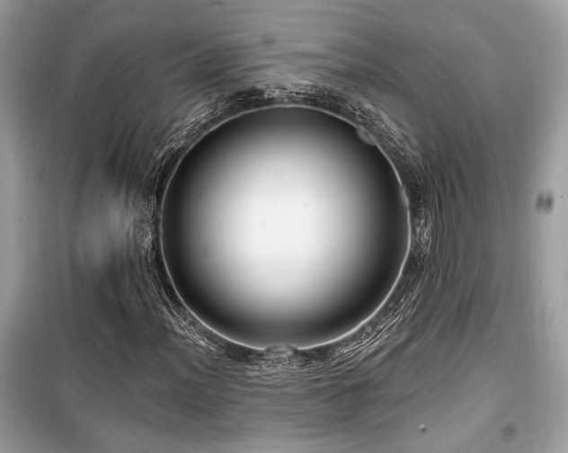 X0000099561012200805161447