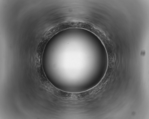 X0000099561013200805161447