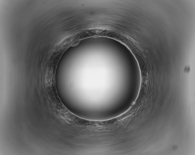 X0000099561014200805161447