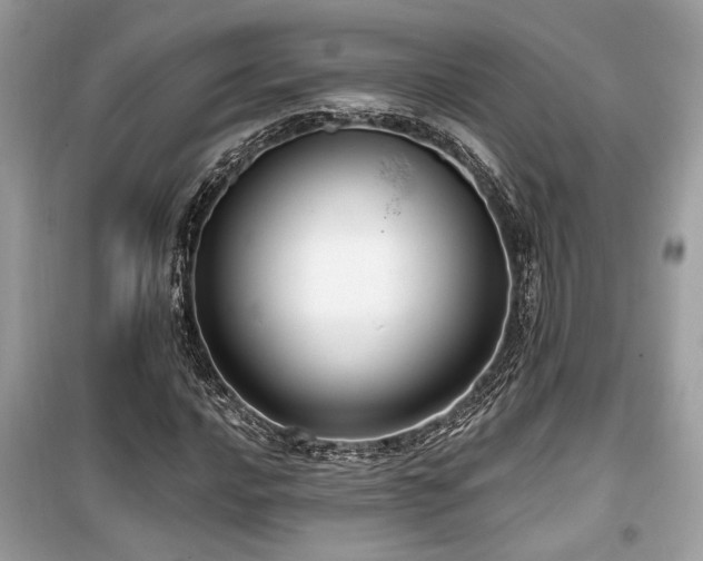 X0000099561016200805161447