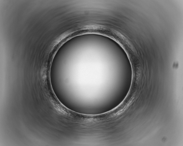 X0000099561017200805161447