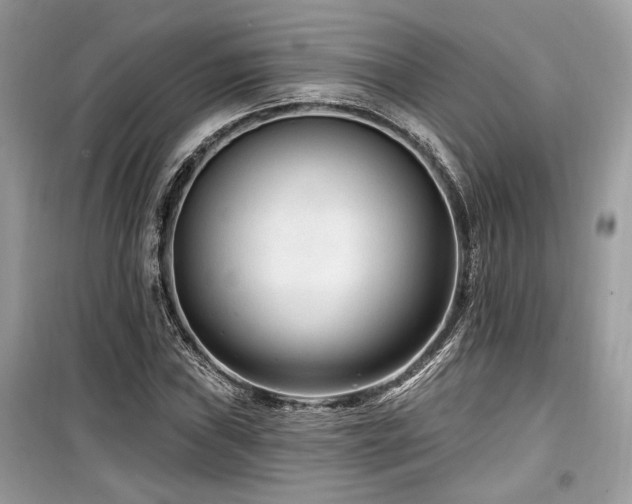 X0000099561019200805161447