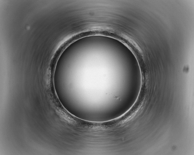 X0000099561021200805161447