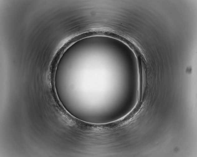 X0000099561022200805161447