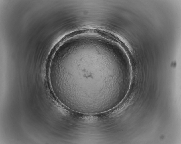 X0000099561023200805161447