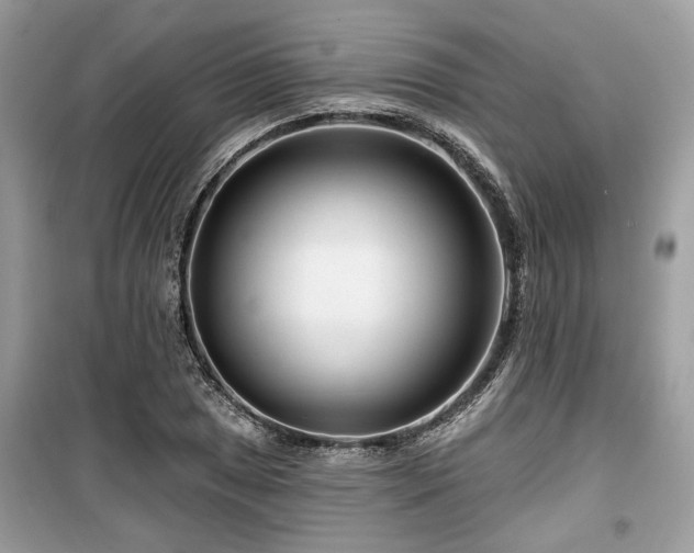 X0000099561025200805161447