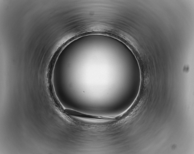 X0000099561026200805161447