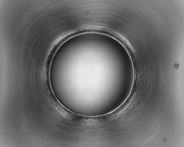 X0000099561027200805161447