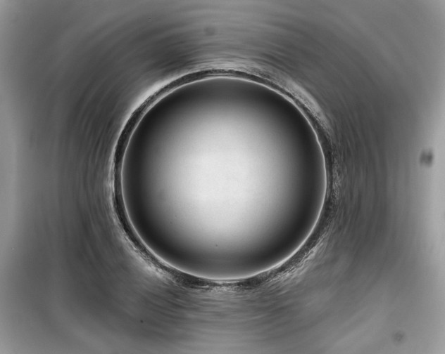 X0000099561028200805161447