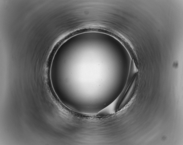 X0000099561029200805161447