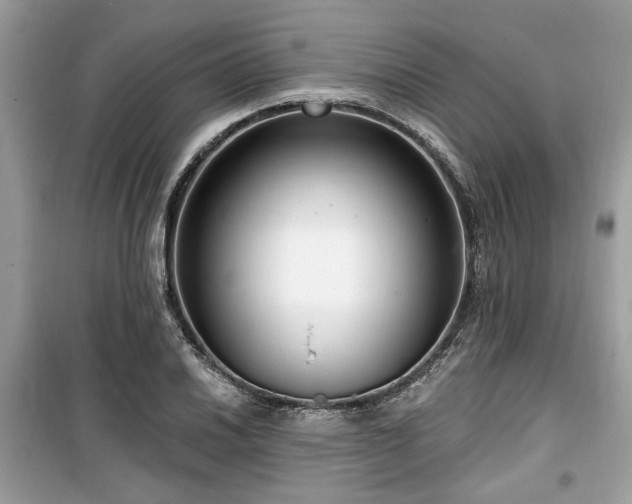 X0000099561030200805161447