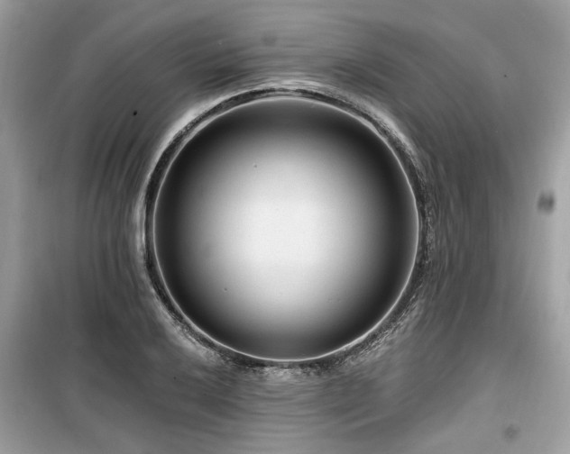 X0000099561032200805161447