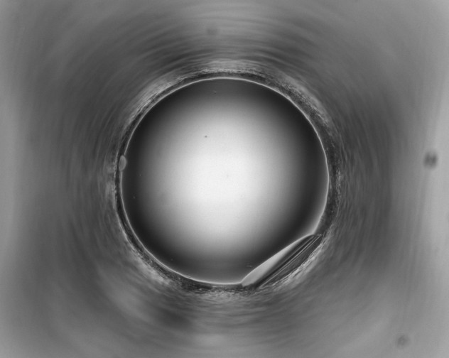 X0000099561033200805161447