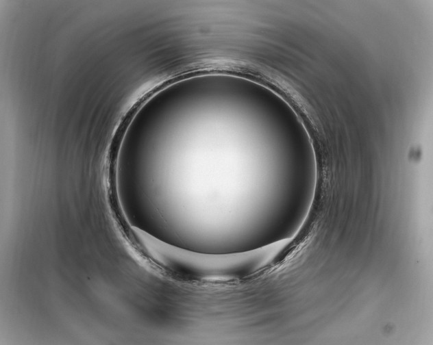 X0000099561034200805161447