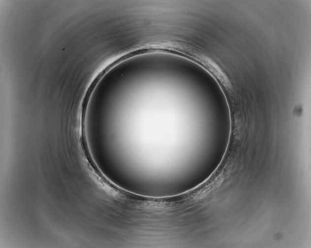 X0000099561036200805161447