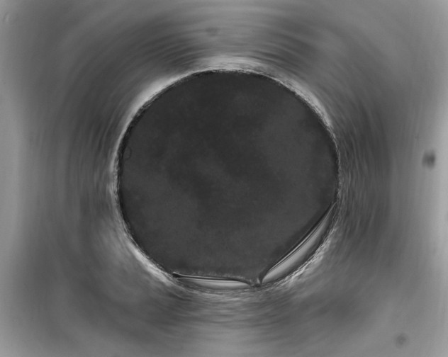 X0000099561037200805161447