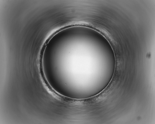 X0000099561038200805161447